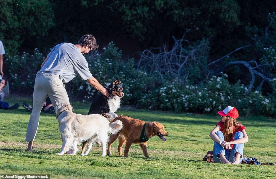 Break it up: At one point it looked as though the actor was trying to intervene as his dog played with another pooch in the park