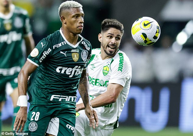 Palmeiras were first in Brazil's Serie A - two points clear with 17 games played - at the time of the interview