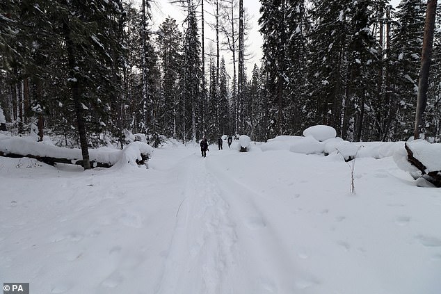 The worms, from a long-extinct species called Panagrolaimus kolymaensis, were not in fact dead, but in a dormant state called cryptobiosis (Pictured: Siberia)