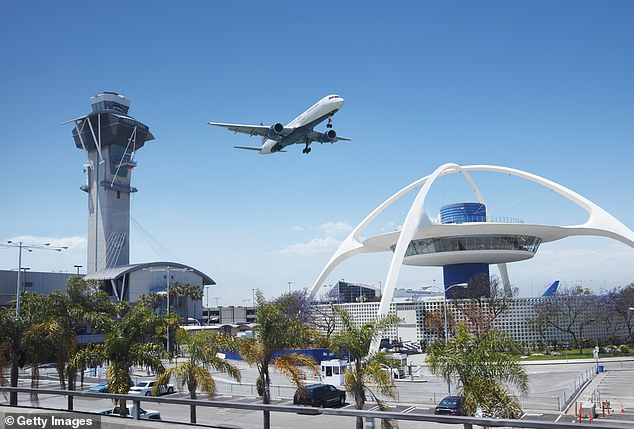 The object was filmed in the skies above LAX airport and experts say they cannot definitively state it was a balloon due to its position within the low information zone