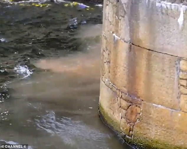 This is the shocking moment comedian Joe Lycett 's giant inflatable loo invention dubbed 'The Turdis' spurted fake poo into Royal Albert Dock in Liverpool