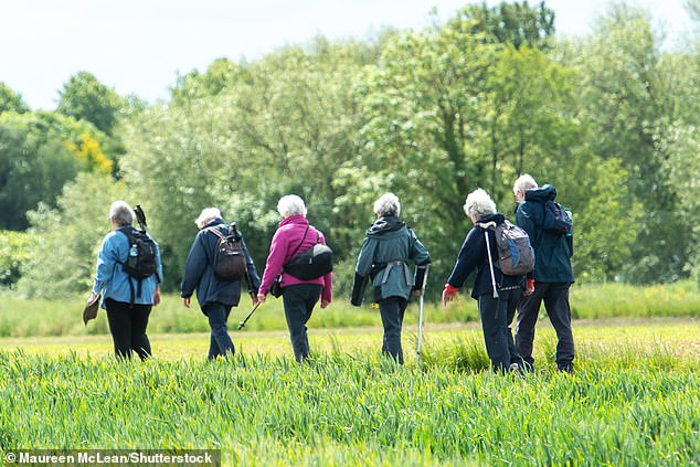 A group of ramblers at Eton Wick near Windsor in Berkshire on Bank Holiday Monday today