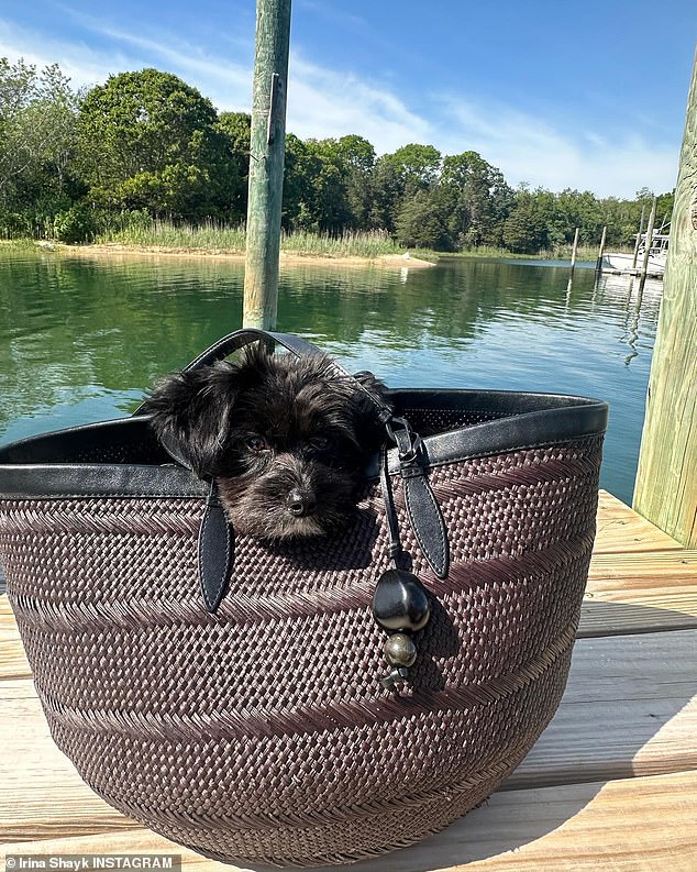 There was also a cute snap of their dog sitting in Irina's black tote bag