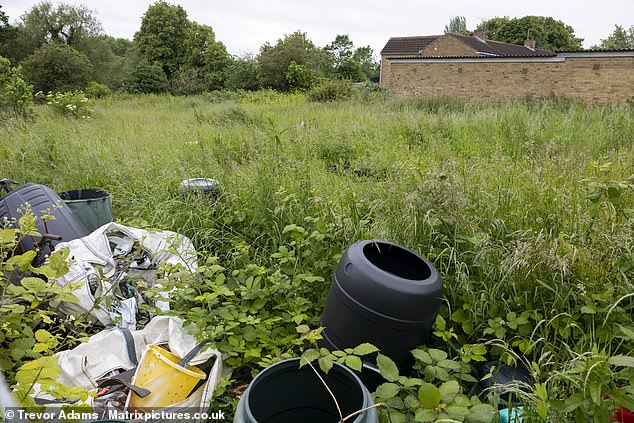 The abandoned allotment - which now has waste timber strewn against the fence, brambles sprouting from piles of compost and plastic tarpaulins and empty flower pots turning green