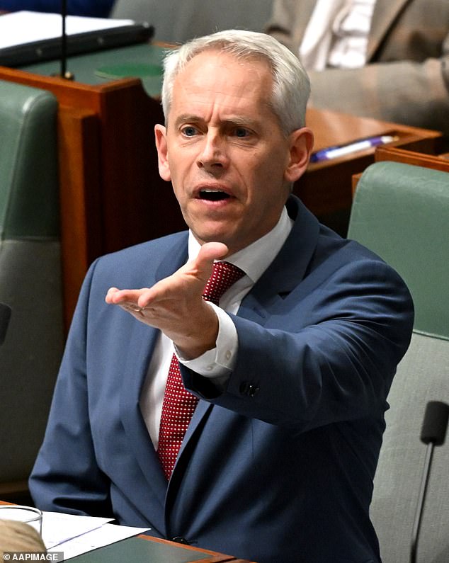 Immigration Minister Andrew Giles is under fire for a ministerial decision that has allowed criminals to have their cancelled visas revoked