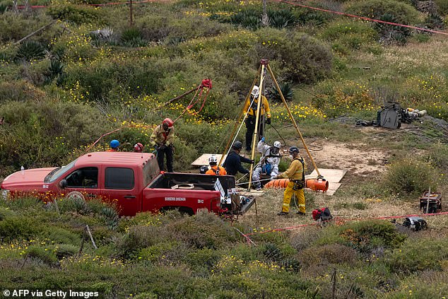 The remains were found in a well (pictured) more than 15 metres (49ft) deep next to a cliff at Punta San José in Santo Tomás, in the municipality of Ensenada