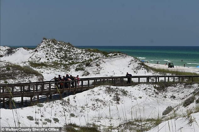 Pictured: Emergency professionals rush shark bite victims away from the beach and toward air transport to the hospital