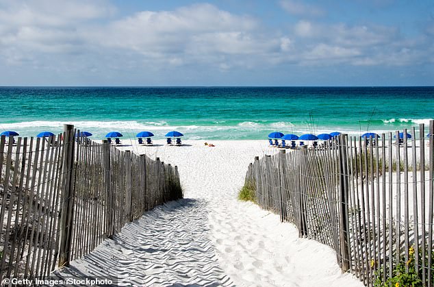 After the attacks, Walton County closed several miles of Gulf of Mexico waters and began waving double red flags. Some beaches have since reopened