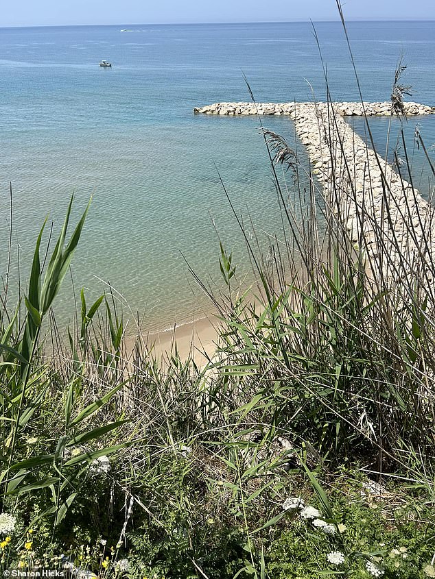 He hopped a fence to take what he thought was a shortcut to the sand, but realized too late the fence was guarding a this sheer drop - and fell off the edge