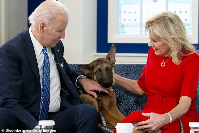 Joe and Jill Biden brought Commander, a purebred German shepherd to the White House. In 2021, they rehomed their other German shepherd, Major, who also exhibited behavioral issues