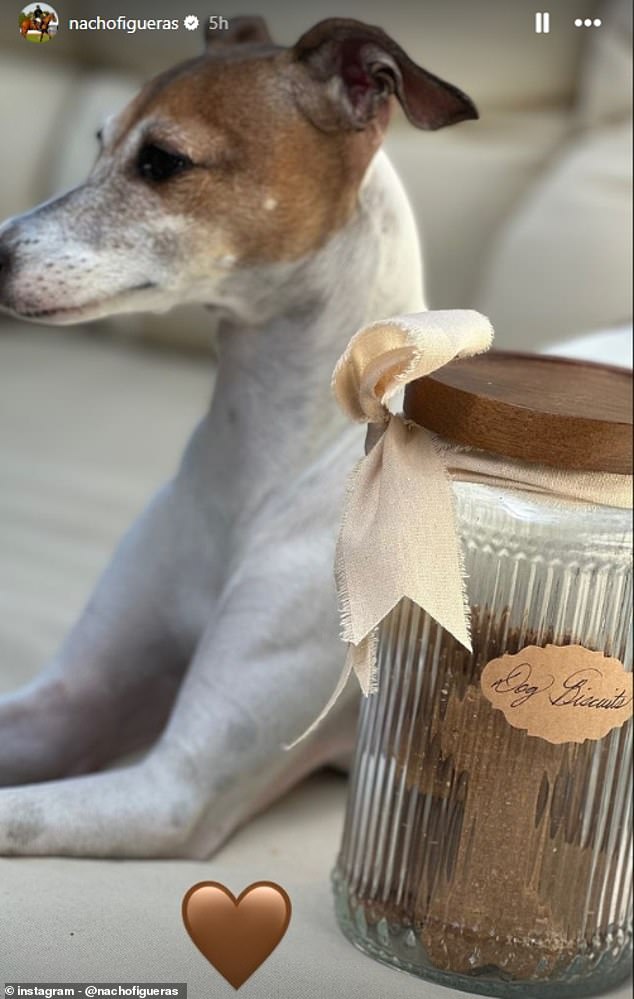 Polo player Nacho posted this image of the dog biscuits from American Riviera Orchard on his Instagram Stories