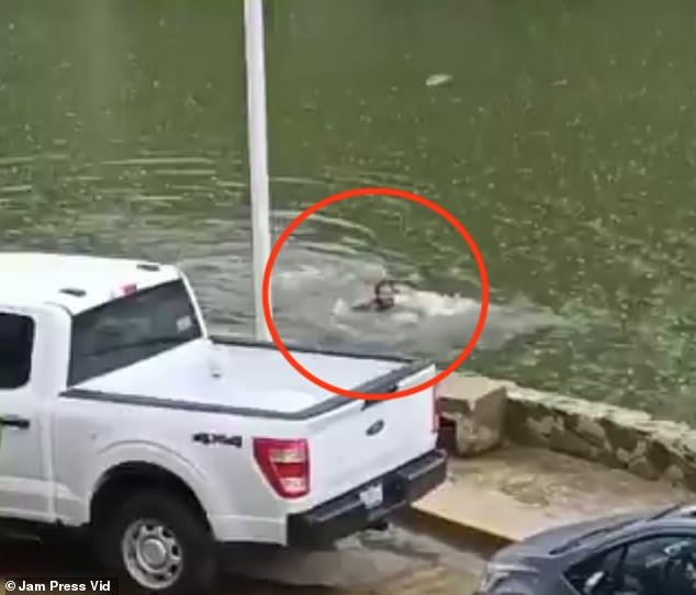A man (circled) was seen being chased by a large crocodile in a lagoon in Mexico