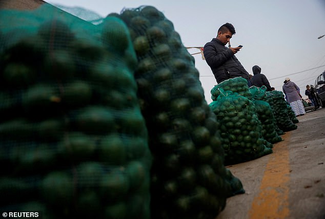 Local producers stand by sacks with freshly harvested avocados at a market in Tenancingo de Degollado, Mexico. The avocado industry generated $3.2 billion for the Mexican economy in 2023