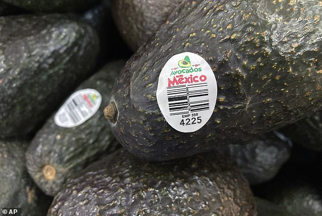The United States government has halted inspections of avocado and mango shipments from Michoacán, Mexico after two employees with United States Agriculture Department were assaulted and temporarily held by assailants this weekend