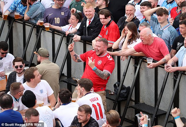 Denmark fan celebrates their side's first goal at Central Park, Newcastle