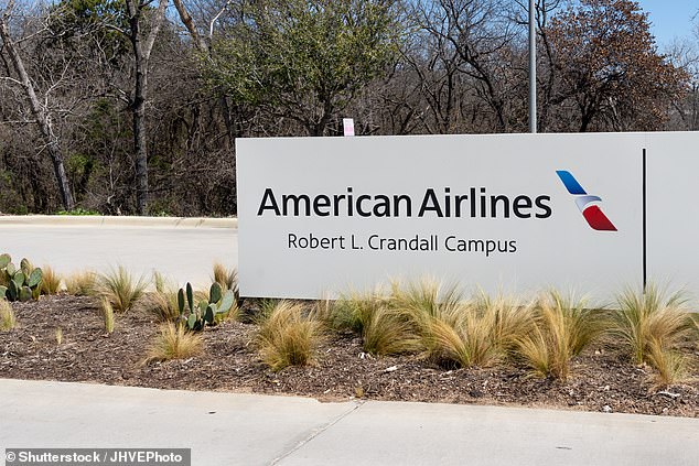 Her lawsuit insists two American Airlines flight attendants witnessed the passenger's actions but did nothing to help her despite her complaints