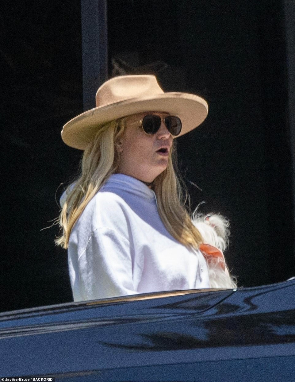 The source indicated that Britney had seen Sean and Jayden at their Hawaii home several times this year, and it was a natural fit since Britney has vacationed in the island state going back years. In addition to seeing Sean and Jayden at their home, the source added that the boys also visited Britney at her home during trips back to California.