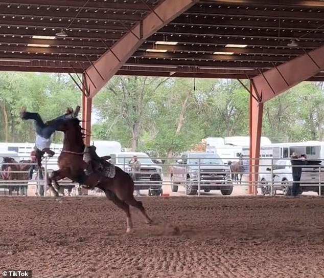 Selena Jaramillo, a trained rodeo racer uploaded a video of herself riding the four-legged animal at high speed when suddenly she was launched in the air
