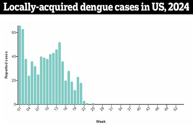 The above shows the number of patients who tested positive for dengue despite not traveling outside of the United States