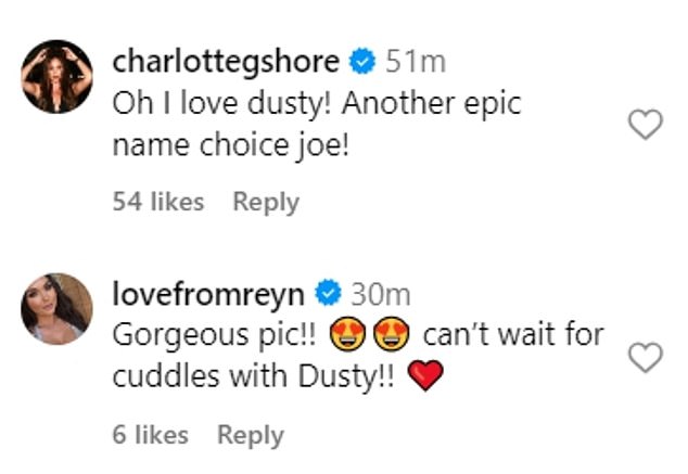 Charlotte Crosby wrote: 'Oh I love Dusty! Another epic name choice Joe!' Love Island's India Reynolds added: 'Gorgeous pic!! Can't wait for cuddles with Dusty'.