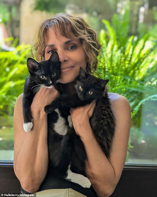 Halle Berry has introduced the newest furry members of her family, two kittens named Boots and Coco