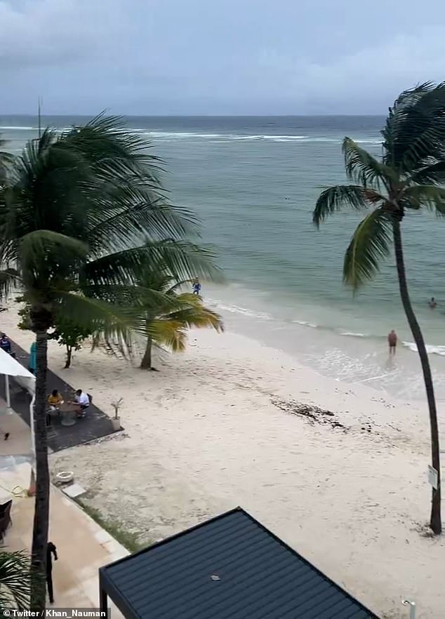 Strong winds are seen blowing palm trees along the south coast of Barbados on Sunday about 20 hours before the expected landfall of Hurricane Beryl