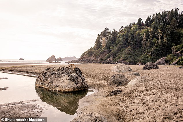 Moonstone beach enjoys empty sands peppered by huge rocks and deep green woods