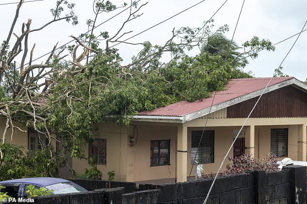 A tree lies on the roof of a house in Kingstown, St. Vincent and the Grenadines, after Hurricane Beryl rips through