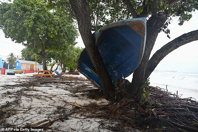 A boat ended up in a tree after the passage of Hurricane Beryl in Oistins gardens, Christ Church, Barbados