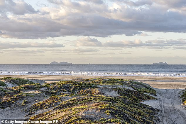 California has closed at least three beaches in Coronado (pictured) along San Diego Bay in the past week - warning that 'bacteria levels exceed health standards'