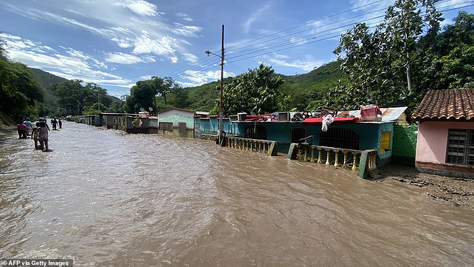 Mitchell added: 'We have to rebuild from the ground up. There is literally no vegetation left anywhere on the island of Carriacou, the mangroves are totally destroyed.' Videos posted to social media from the island of Martinique show heavy flooding in the streets as locals tried to clear the debris. In Barbados, videos also showed waves pounding into the shore, breaching walkways, felling palm trees and flooding roads in the capital. Banana trees were also snapped in half, and in some photos cows could be seen laying dead in green pastures, according to the Orlando Sentinel. 'The hurricane has come and gone, and it has left in its wake immense destruction,' said Ralph Gonsalves, the prime minister of St. Vincent and the Grenadines. He noted that nearly 90 percent of the homes on Union Island were destroyed, and 'similar levels of devastation' were expected on the islands of Myreau and Canouan.