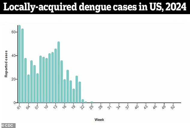 The above shows the number of patients who tested positive for dengue despite not traveling outside of the United States