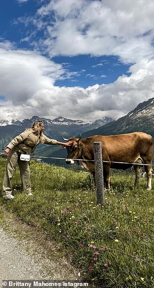 Brittany petting a cow