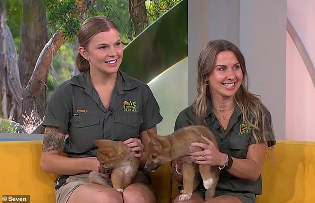 Two Australian Reptile Park zookeepers look set to become the next Irwins as personable duo Imogen and Emma (L-R) made their debut on Sunrise on Thursday morning