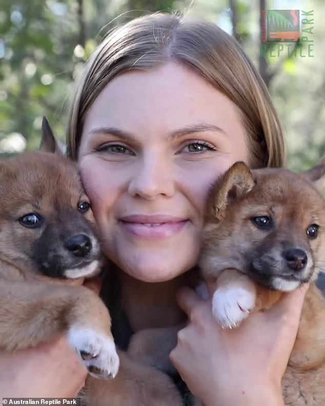 Both Emma and Imogen (pictured) frequently feature on the Australian Reptile Park's social media pages and could be set to carve out huge fanbases of their own