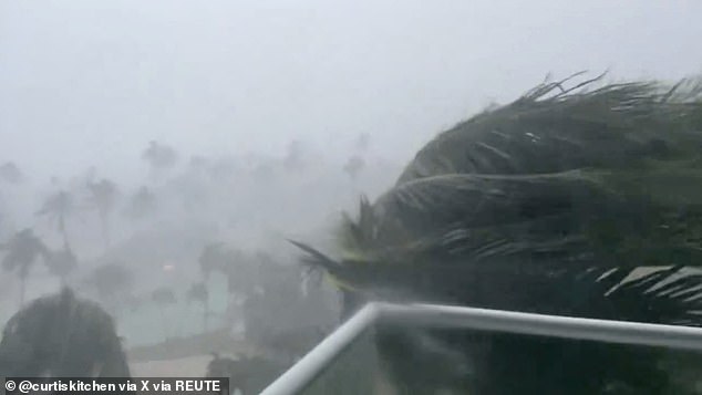 Trees bend in the strong winds from Hurricane Beryl in Montego Bay, Jamaica, July 3, 2024