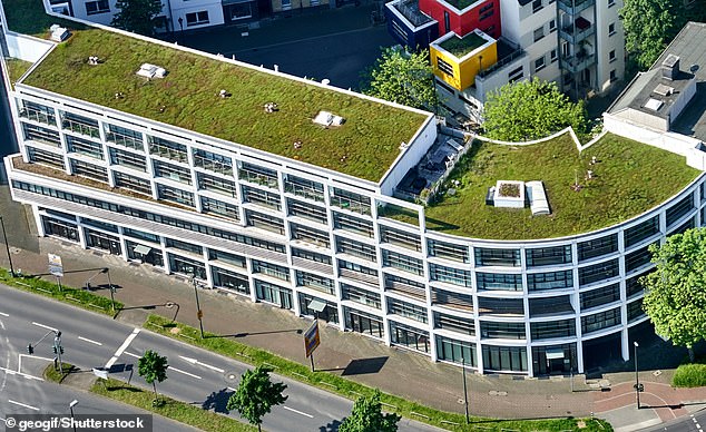 'Green roofs' (those covered with vegetation) provide habitats for wildlife and covert CO2 into oxygen, but the modelling study found they didn't reduce overall temperatures in London. Pictured, a green roof in Dusseldorf, Germany