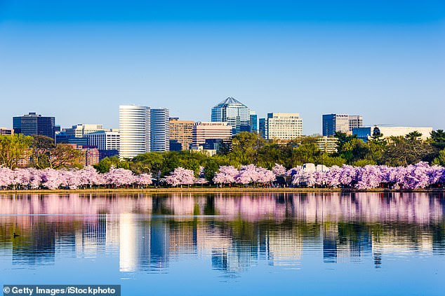 Washington, D.C. at the Tidal Basin during cherry blossom season with the Rosslyn business distict citycape is seen here