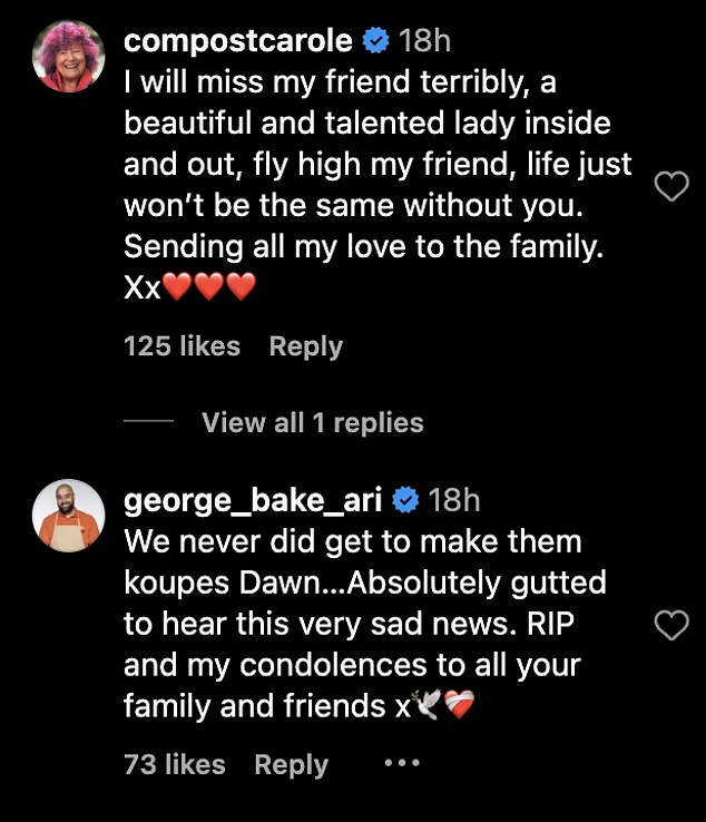 Plenty of TV stars and fellow bakers took to Instagram, flooding the latest post with poignant comments as they paid Dawn a tribute