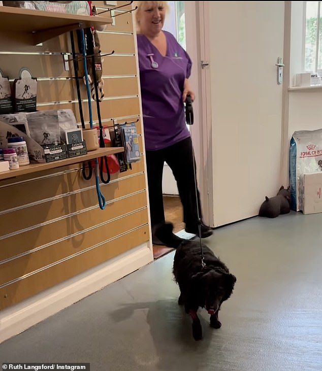 Ruth accompanied it with a heart-melting clip of Maggie - who is 14 - coming out of the veterinary room and then some more bits as she cuddled her at home