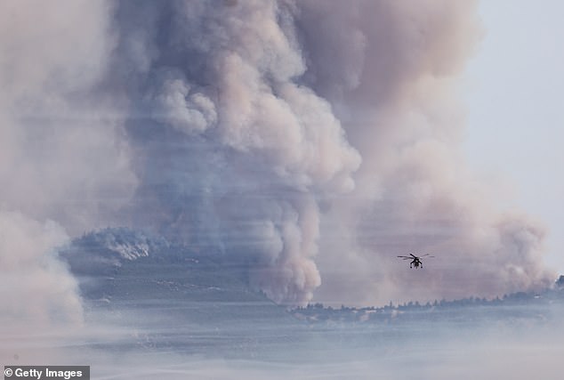 Images from the aftermath also show giant plumes of smoke emerging from the forest as branches continue to burn into ash