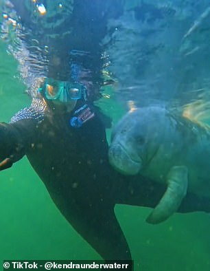 She teaches people to swim with the large mammals in a 'non-captive environment'