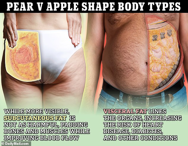 A 2023 study found that the distribution of someone's fat was more important to their overall fat than just their body weight. Fat around the midsection, which stresses crucial organs, led to increased risk of diseases that could lead to premature death