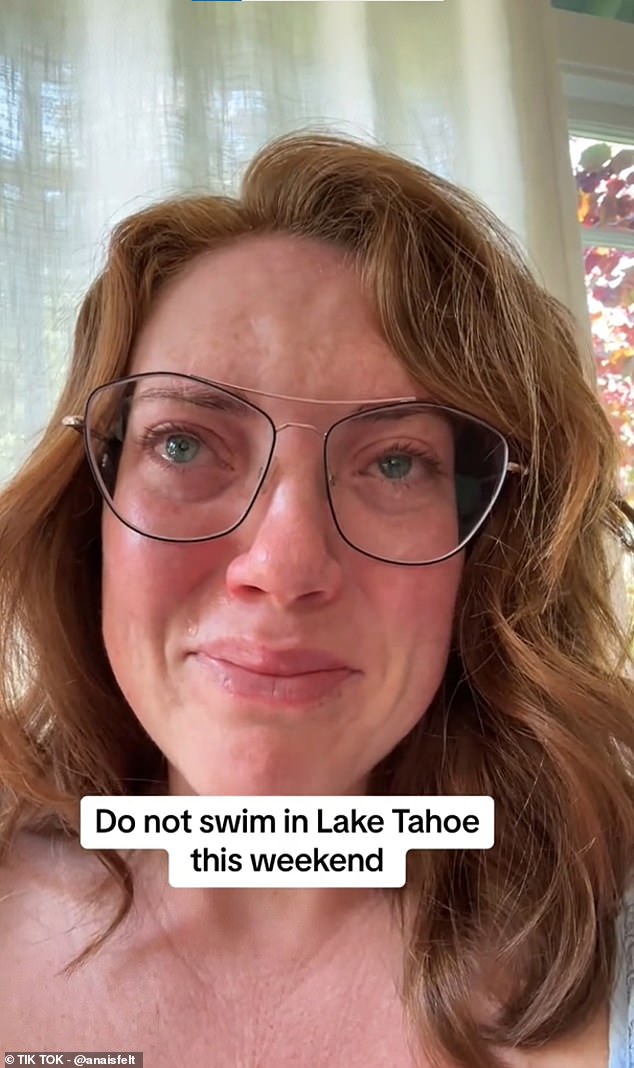 A beloved family dog was killed after ingesting toxic blooms of blue-green algae at a 'popular dog beach' along Lake Tahoe, according a tearful account posted to TikTok: 'I'm really concerned that there's more of the nervetoxin in Lake Tahoe,' the pet owner said (above)