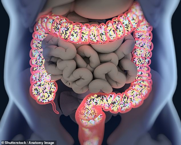 Your gut microbiome is constantly evolving and, like a fingerprint, is unique to you