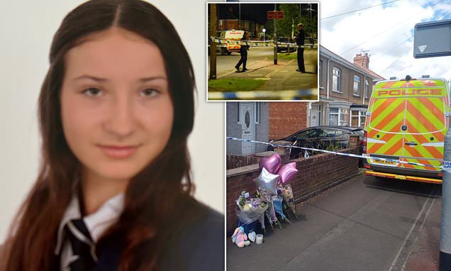 Pictured: Schoolgirl, 14, who died after suffering 'single stab wound to the chest', as