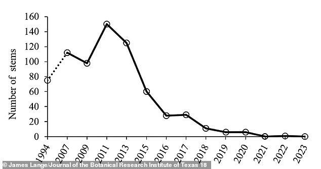 'The climate emergency,' according to a statement from the Florida Museum of Natural History, which assisted in the new study, 'has killed off the Key Largo tree cactus growing naturally in the US through saltwater inundation and soil depletion from hurricanes'
