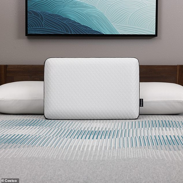 The luxury cooling pillow from the Beautyrest brand costs $35 - much lower than the $90 price tag at rival stores