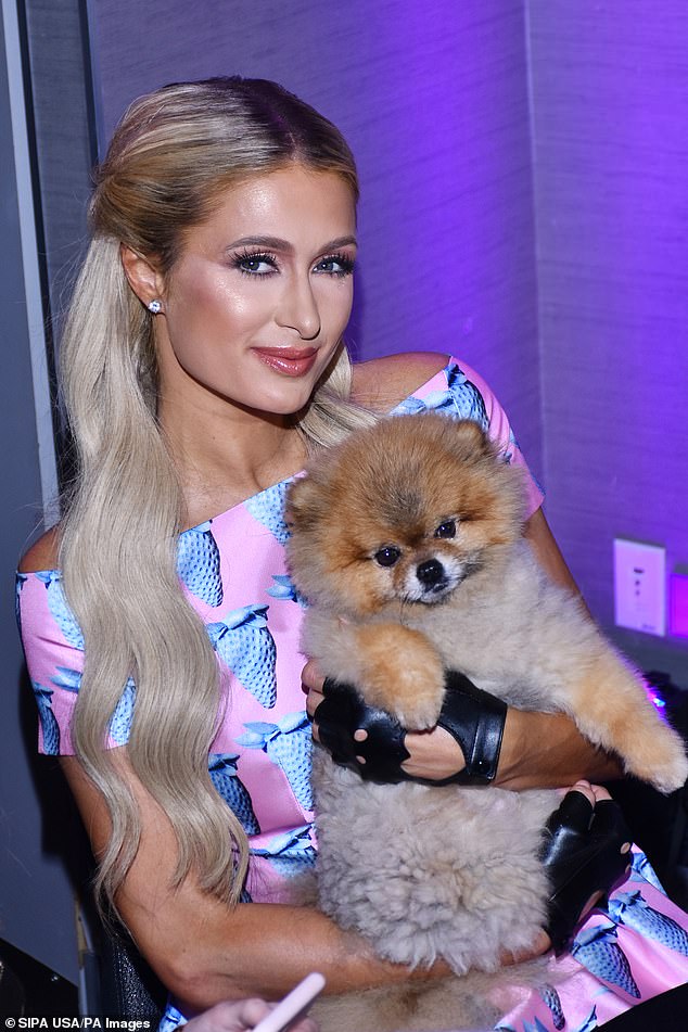 Paris Hilton is a dog-lover whose adoration is not contained to one or, two or even five dogs. The hotel heiress, 43, loves dogs so much that she has at least 10 and adores each and every one