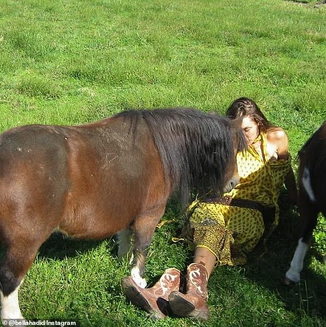 The catwalk queen stretched out on the grass while interacting with the ponies and goats in her Yellow-patterned dress and brown and white cowboy boots